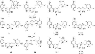 Terminal Cyclohexane-Type Meroterpenoids from the Fruiting Bodies of Ganoderma cochlear